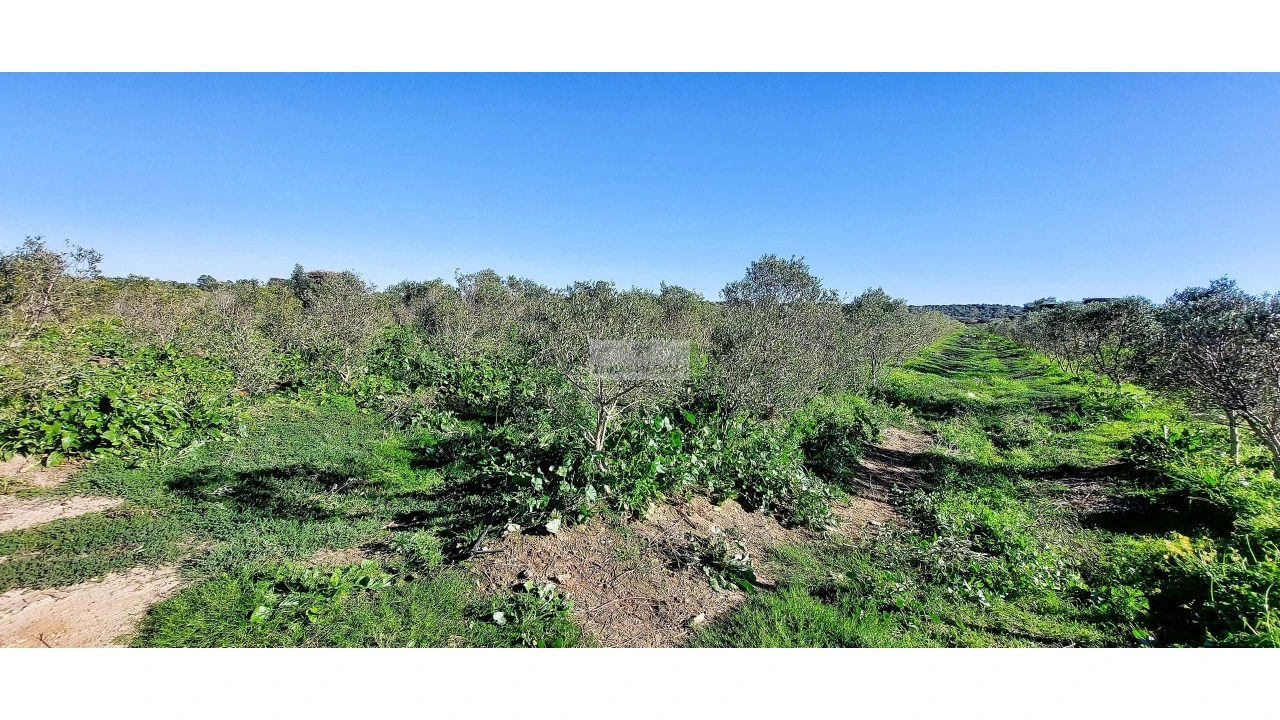 Quinta T4 para Venda em Odiaxere Foto 46