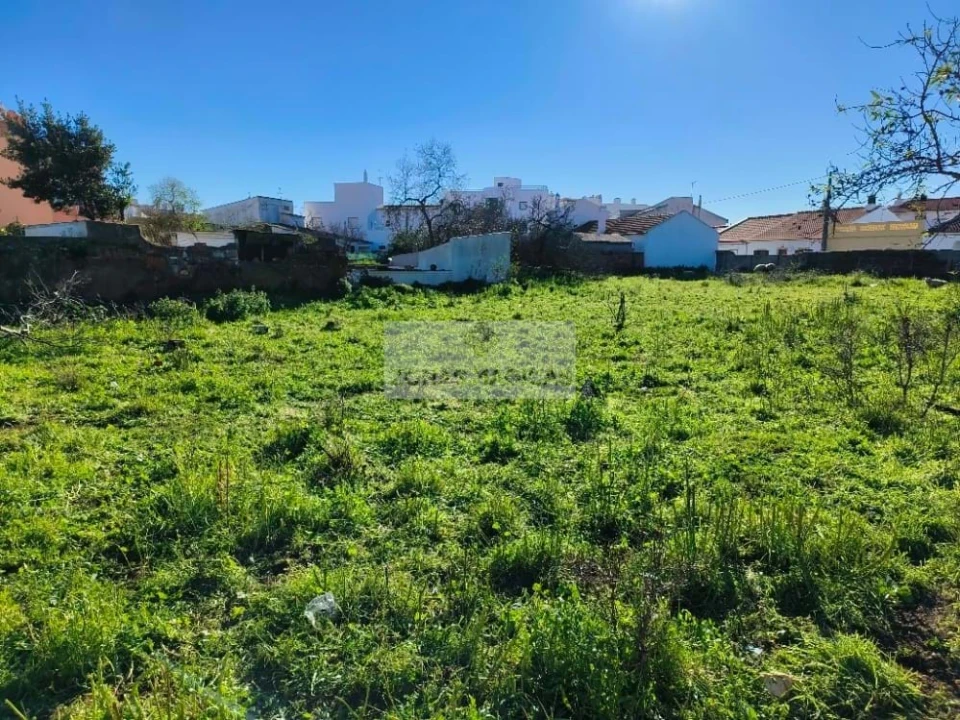 Terreno para Venda em Lagos (São Sebastião e Santa Maria) Foto 5