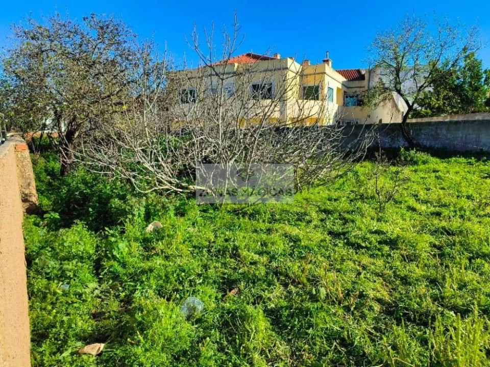 Terreno para Venda em Lagos (São Sebastião e Santa Maria) Foto 2