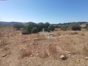 Terreno para Venda em Mexilhoeira Grande