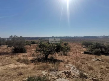 Terreno para Venda em Mexilhoeira Grande