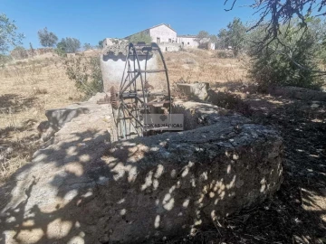 Terreno para Venda em Mexilhoeira Grande