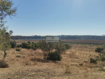 Terreno para Venda em Mexilhoeira Grande