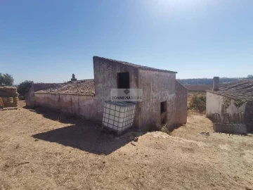 Terreno para Venda em Mexilhoeira Grande