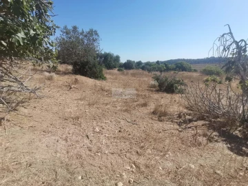 Terreno para Venda em Mexilhoeira Grande
