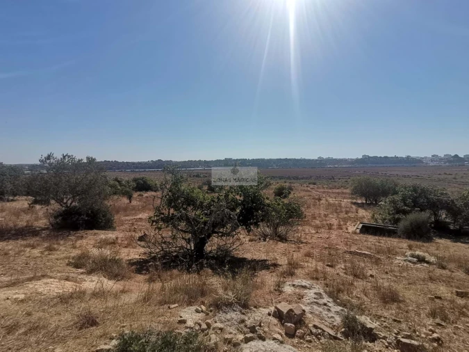 Terreno para Venda em Mexilhoeira Grande Foto 7