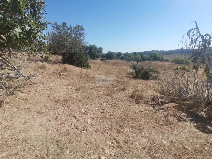 Terreno para Venda em Mexilhoeira Grande Foto 12