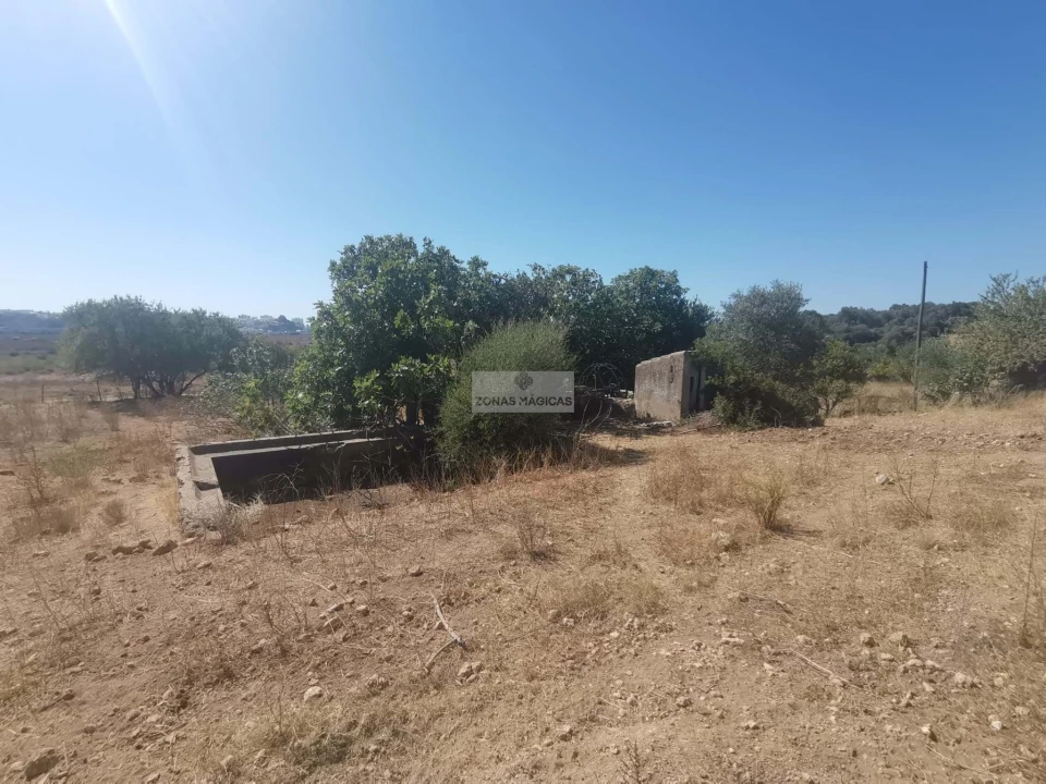 Terreno para Venda em Mexilhoeira Grande Foto 13