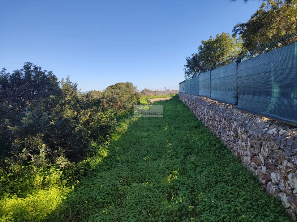 Terreno para Venda em Barão de São Miguel Foto 1