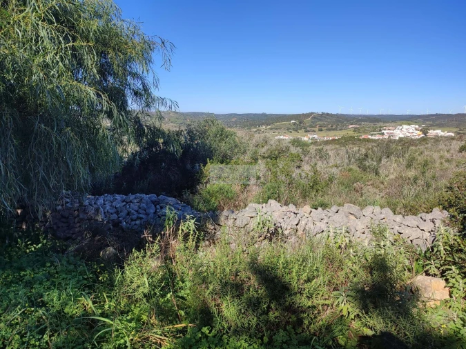 Terreno para Venda em Barão de São Miguel Foto 3
