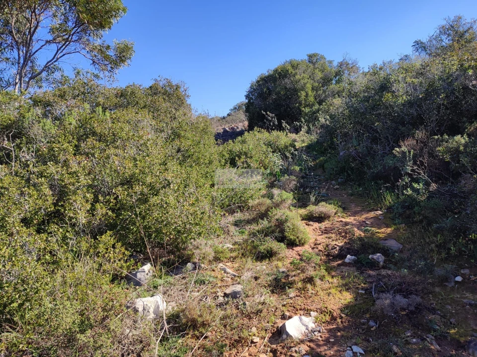 Terreno para Venda em Barão de São Miguel Foto 4