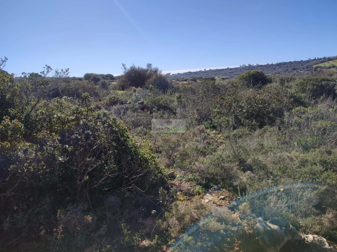 Terreno para Venda em Barão de São Miguel Foto 2