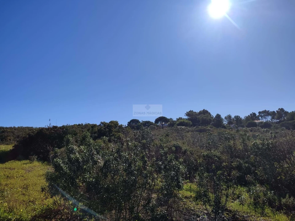 Terreno para Venda em Barão de São Miguel Foto 3