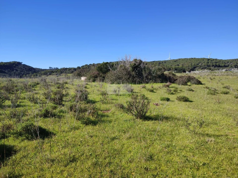 Terreno para Venda em Lagos (São Sebastião e Santa Maria) Foto 6