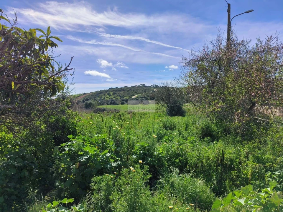 Terreno para Venda em Barão de São Miguel Foto 3