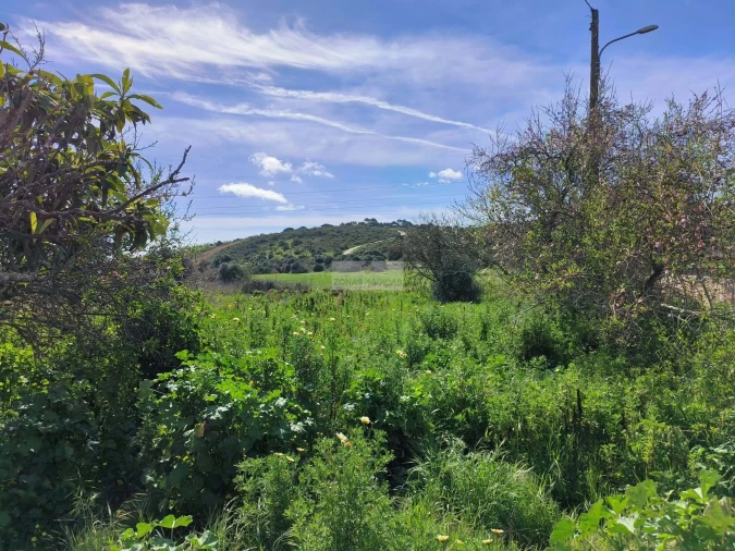 Terreno para Venda em Barão de São Miguel Foto 3