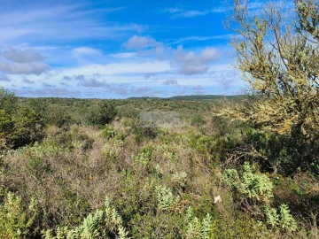 Terreno para Venda em Lagos (São Sebastião e Santa Maria)