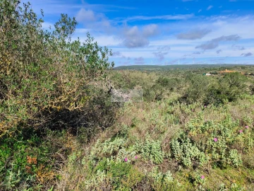 Terreno para Venda em Lagos (São Sebastião e Santa Maria)
