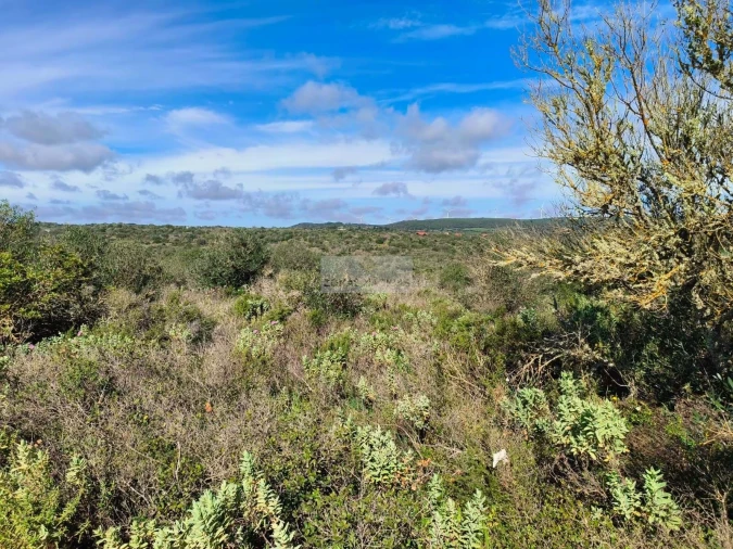 Terreno para Venda em Lagos (São Sebastião e Santa Maria) Foto 3