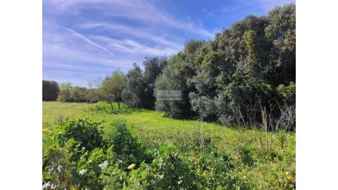 Terreno para Venda em Barão de São Miguel