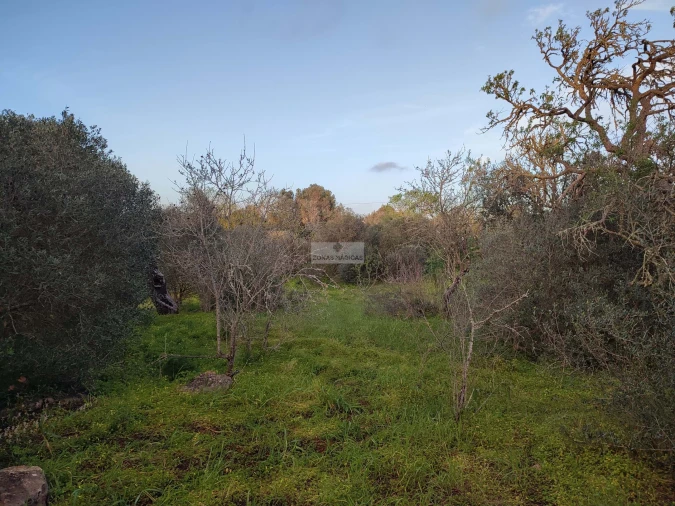 Terreno para Venda em Lagos (São Sebastião e Santa Maria) Foto 9