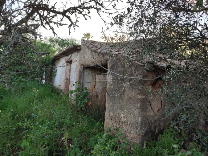 Terreno para Venda em Lagos (São Sebastião e Santa Maria) Foto 6
