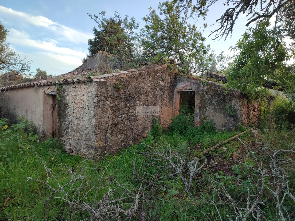 Terreno para Venda em Lagos (São Sebastião e Santa Maria) Foto 5