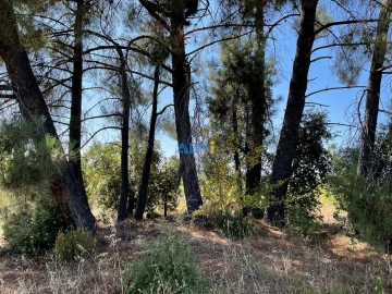 Terreno para Venda em Tinalhas
