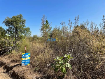 Terreno para Venda em Tinalhas