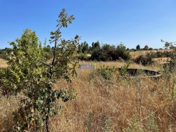 Terreno para Venda em Tinalhas
