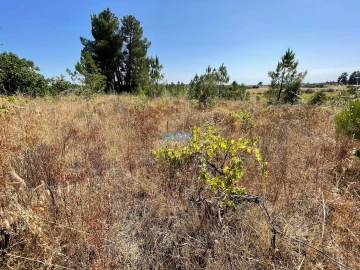 Terreno para Venda em Tinalhas
