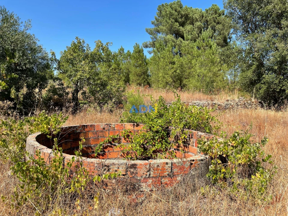 Terreno para Venda em Tinalhas Foto 2