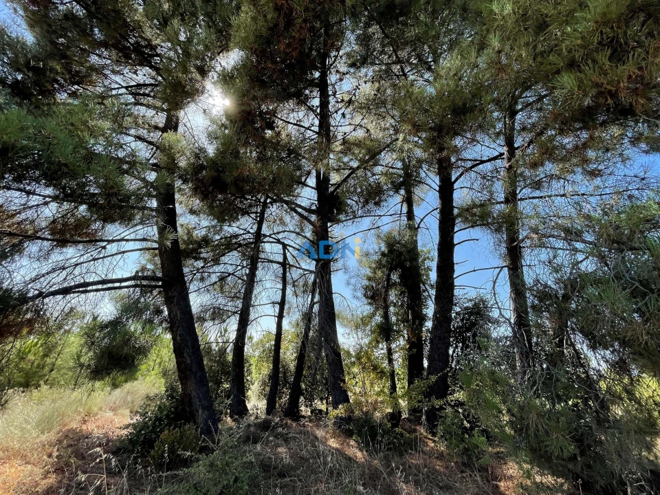 Terreno para Venda em Tinalhas Foto 13