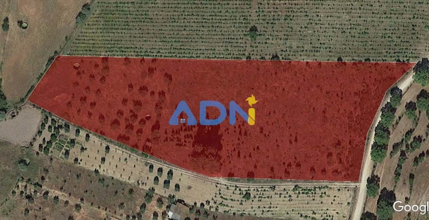 Terreno para Venda em Tinalhas Foto 19