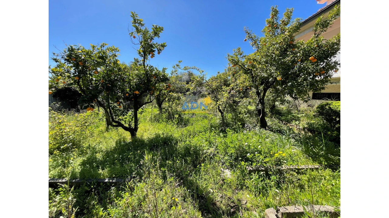 Moradia T10 para Venda em Castelo Branco Foto 35