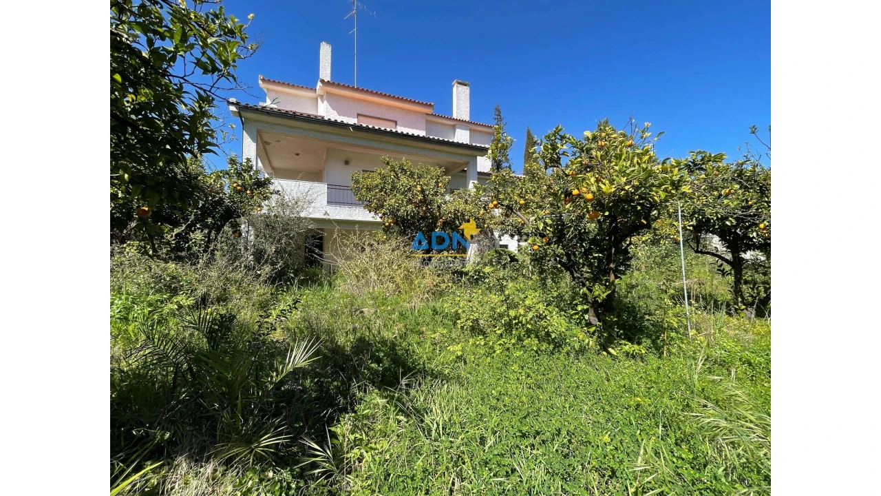 Moradia T10 para Venda em Castelo Branco Foto 41