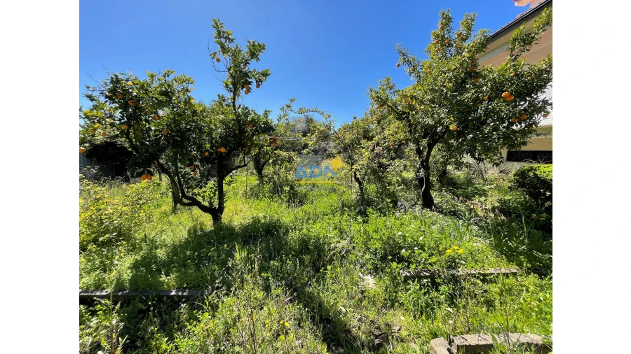 Moradia T10 para Venda em Castelo Branco Foto 35