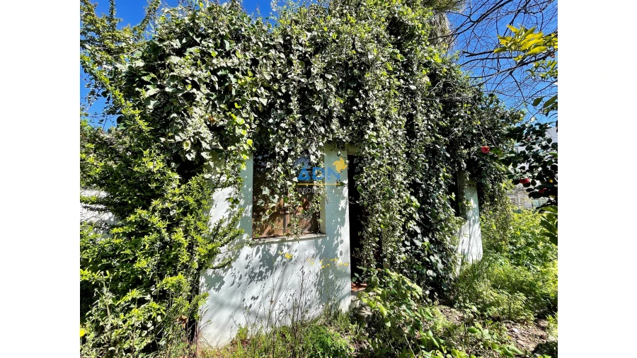 Moradia T10 para Venda em Castelo Branco Foto 36