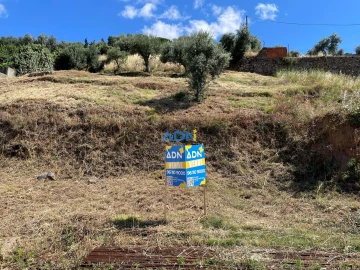 Terreno para Venda em Castelo Branco