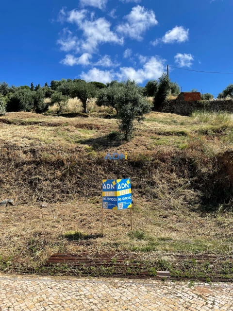 Terreno para Venda em Castelo Branco
