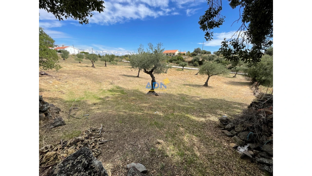 Terreno para Venda em Zebreira e Segura Foto 9