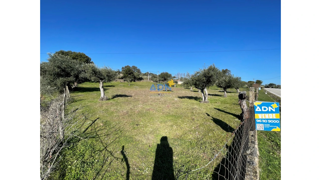 Terreno para Venda em Zebreira e Segura Foto 4
