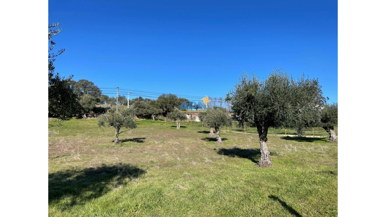 Terreno para Venda em Zebreira e Segura Foto 14