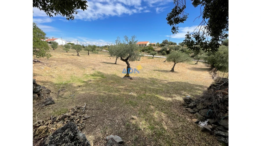 Terreno para Venda em Zebreira e Segura Foto 9