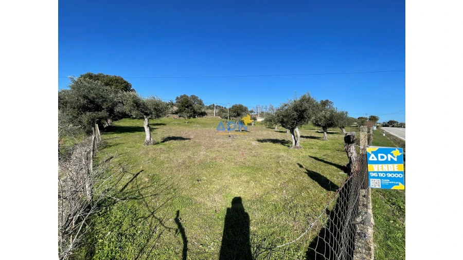 Terreno para Venda em Zebreira e Segura Foto 4