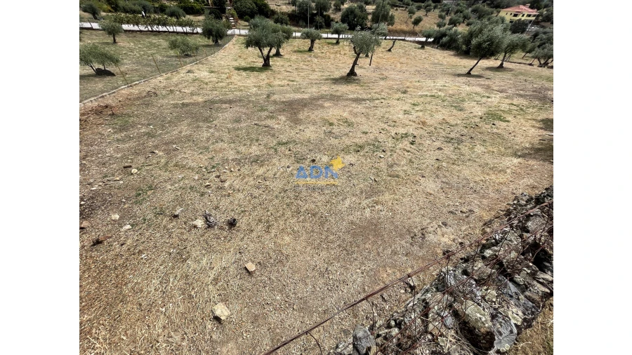 Terreno para Venda em Zebreira e Segura Foto 11