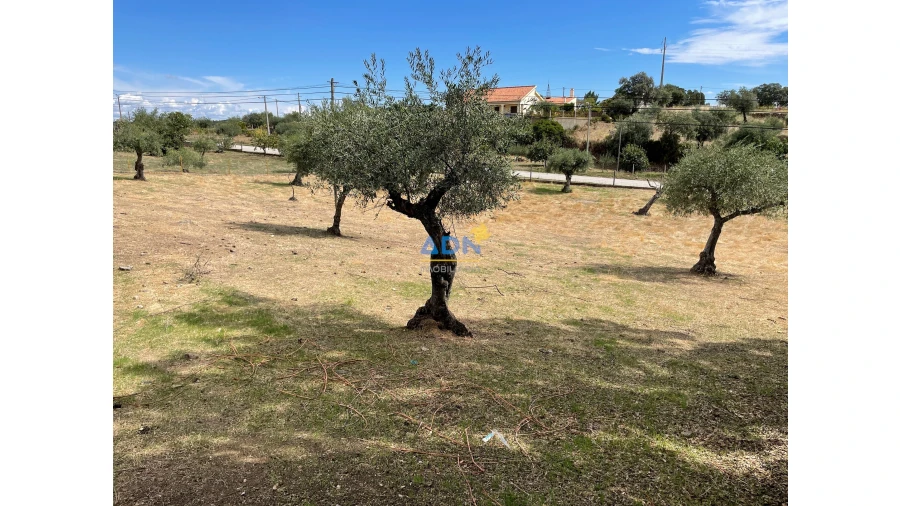 Terreno para Venda em Zebreira e Segura Foto 7