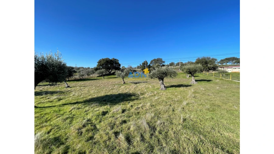 Terreno para Venda em Zebreira e Segura Foto 15