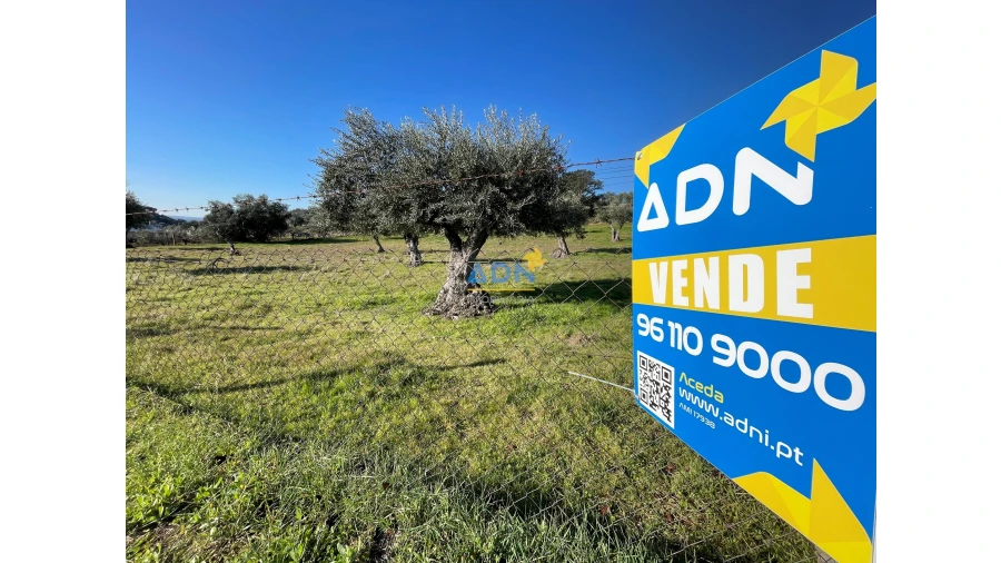 Terreno para Venda em Zebreira e Segura Foto 5