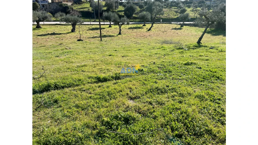 Terreno para Venda em Zebreira e Segura Foto 3